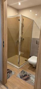 a glass shower in a bathroom with a toilet at Łąkowa 7 Apartamenty LUNA Białystok in Skorka