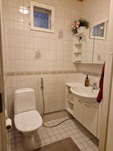 Villa Karhurinne في ليمبالا: حمام مع مرحاض ومغسلة +45 صورة