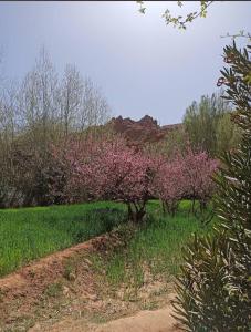 Un paisaje natural cerca del riad