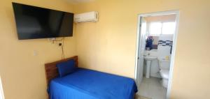 Μια τηλεόραση ή/και κέντρο ψυχαγωγίας στο hotel las yayas la vega