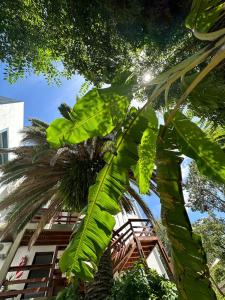 En have udenfor Hospedaje Familia Puma