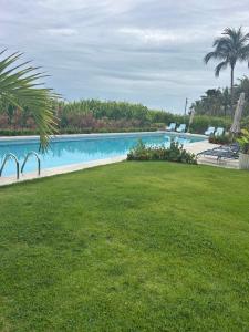 UnaCasa dos Sonhos Pé na Areia的一个大型游泳池，周围环绕着草坪和棕榈树。