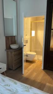 a bathroom with a shower and a sink and a toilet at Alojamientos Boutique Ribadesella in Ribadesella +22 photos