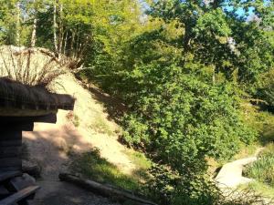 uma estrada de terra com árvores ao lado dela em 8 person holiday home in Frederiksværk-By Traum em Frederiksværk