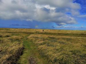Un paisaje natural cerca de la casa vacacional