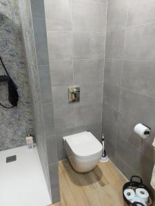 a bathroom with a toilet and a bath tub at les colombes in Laquenexy +1 photo