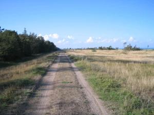 Příroda nedaleko prázdninového domu + 20 fotografií