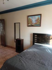 塔里哈Temporal Suit Tarija by Dolce Casa的卧室里有一张床，墙上有一面镜子