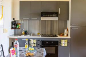 a kitchen with a sink and a stove top oven at Gîtes les fleurs du bananier in Goyave