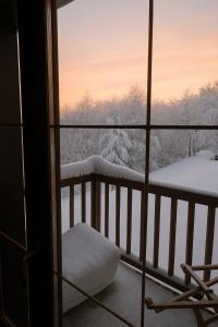 una vista da una finestra di alberi innevati di Appartement rénové au pied des pistes avec piscine, sauna, linge inclus et animaux acceptés a Flumet