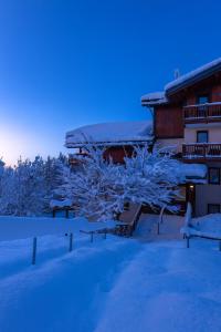 un albero ricoperto di neve di fronte a un edificio di Appartement rénové au pied des pistes avec piscine, sauna, linge inclus et animaux acceptés a Flumet