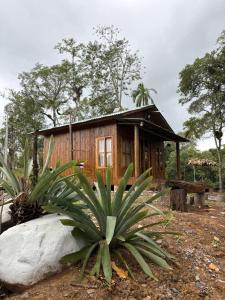 Aed väljaspool majutusasutust Cabana Bromélia