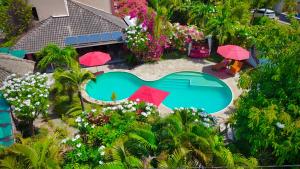 卡姆布库Xainã Pousada de Charme的带游泳池的房子的鸟瞰图