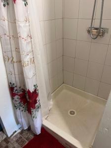 Koupelna v ubytování Atic Apartment