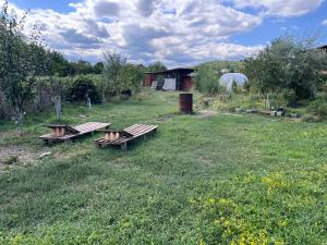 Zwei Picknickbänke stehen auf einer Wiese. in der Unterkunft Casa Isabela in Ocna Sibiului