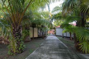 a path through a yard with palm trees at Le Cottage 61 - Au Bonheur de Sophie in Le Vauclin