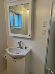 un baño con lavabo y espejo en Cozy Studio Apartment, en Thunder Bay