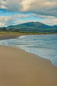 Afbeelding uit fotogalerij van The Walnut Nest in Leven-Fife