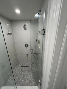 a bathroom with a shower with a glass door at V-Swim Suite-1 in Toronto +14 photos