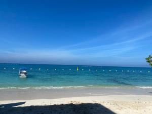 巴尔Amora Beach的海滩上的船只