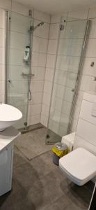 a bathroom with a shower and a toilet and a sink at Apartament in Rybnik