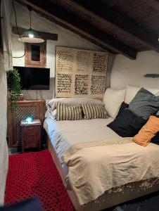 een slaapkamer met twee bedden, een tv en een rood tapijt bij Patones Experience Room in Patones