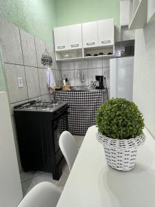 a kitchen with a table with a potted plant on it at Sobradinho da Lagoa in Niterói