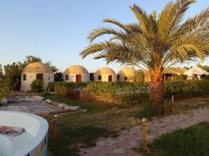 Φωτογραφία από το άλμπουμ του Hotel Dakrour-فندق الدكرور σε Siwa