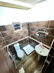 a bathroom with a toilet and a sink at Hotel Dakrour-فندق الدكرور in Siwa