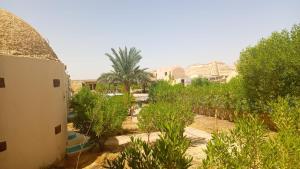 Ảnh trong thư viện ảnh của Hotel Dakrour-فندق الدكرور ở Siwa