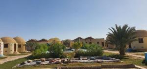 Ảnh trong thư viện ảnh của Hotel Dakrour-فندق الدكرور ở Siwa