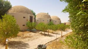 Ảnh trong thư viện ảnh của Hotel Dakrour-فندق الدكرور ở Siwa