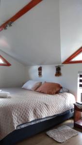 Foto sihtkohas Puerto Aisén asuva majutusasutuse Casita Ancestral galeriist