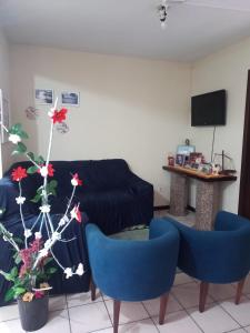 Μια τηλεόραση ή/και κέντρο ψυχαγωγίας στο Vô Doríbio