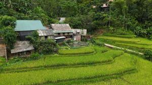 a village in the middle of a lush green field at Homestay gió lặng in Lũng Tiềm +16 photos