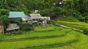 a village in the middle of a lush green field at Homestay gió lặng in Lũng Tiềm
