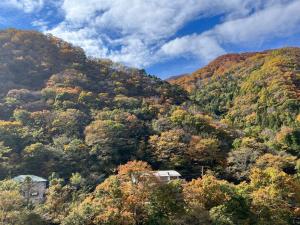 a mountain covered in trees with a house in the middle at 源泉の湯 福の屋 in Minakami