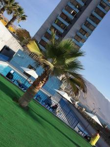 Κήπος έξω από το Apartment with spectacular ocean views