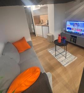 a living room with a couch and a flat screen tv at Le basque in Douai