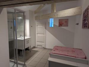 Ένα μπάνιο στο Gîte spacieux avec piscine privée et jardin, idéal pour familles avec animaux - FR-1-653-67 +26 φωτογραφίες