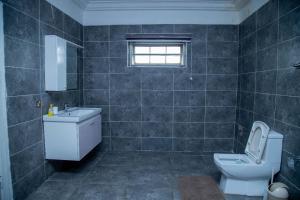 a bathroom with a toilet and a sink at Nkrabea Royal Apartment in Trofwi
