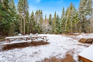 uma mesa de piquenique na neve numa floresta em Luxurious & Tranquil Nature Getaway with SPA & Scenic Views em Sainte-Lucie-de-Doncaster