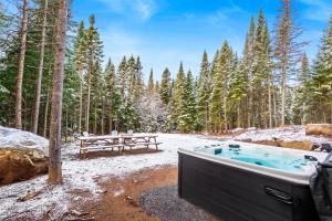 uma banheira de hidromassagem e uma mesa de piquenique na floresta em Luxurious & Tranquil Nature Getaway with SPA & Scenic Views em Sainte-Lucie-de-Doncaster