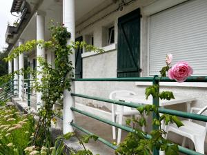 a pink rose on the railing of a house at Studio cosy avec jardin et WIFI à La Roche-Posay - FR-1-541-187 in La Roche-Posay