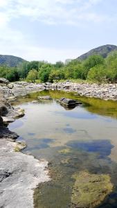 Naturlandskabet i nærheden af feriehuset