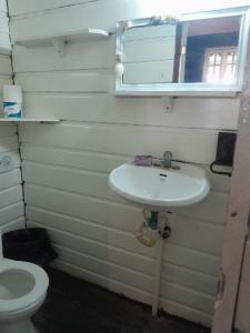 博卡斯德尔托罗casa azul的带白色水槽和马桶的浴室