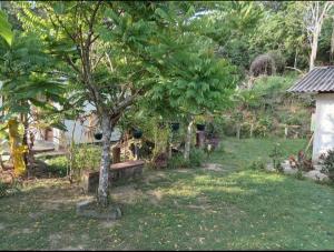 a park with a tree and a bench in a yard at White Shell in Tangalle