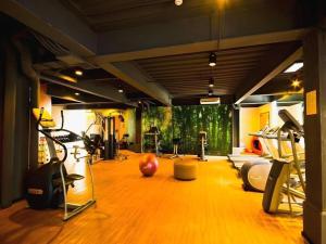 Γυμναστήριο ή/και όργανα γυμναστικής στο Mallberry Suites Business Hotel