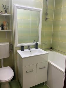 ein Badezimmer mit Waschbecken, Toilette und Badewanne in der Unterkunft EVA - Apartament in Cîmpulung