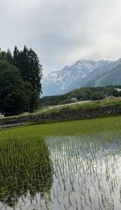 een akker met bergen op de achtergrond bij New Field Chalet 白馬 in Hakuba